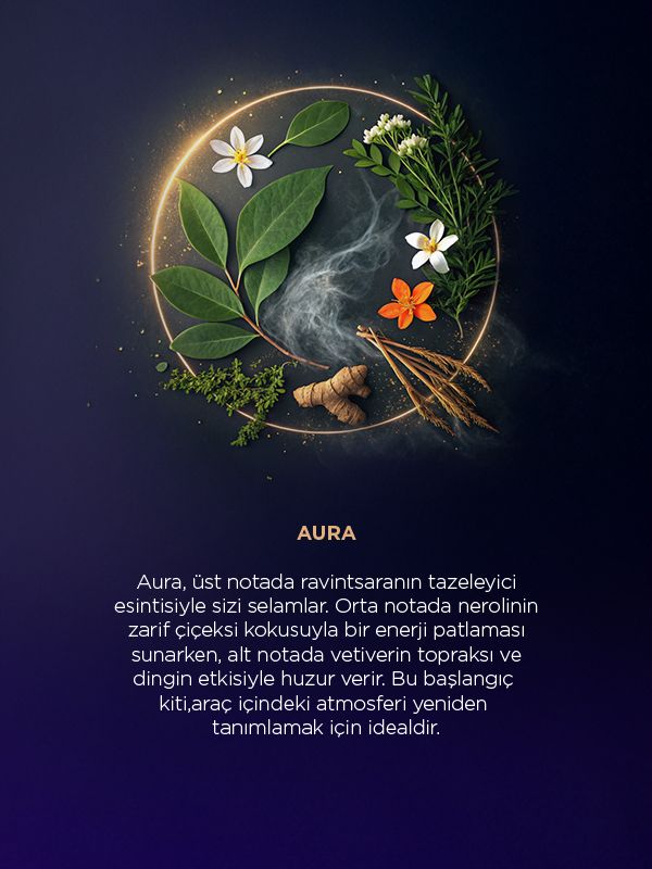 Zeder Ahşap Araç Kokusu Başlangıç Kiti (Arkadaş Paketi) - Mystic&Aura
