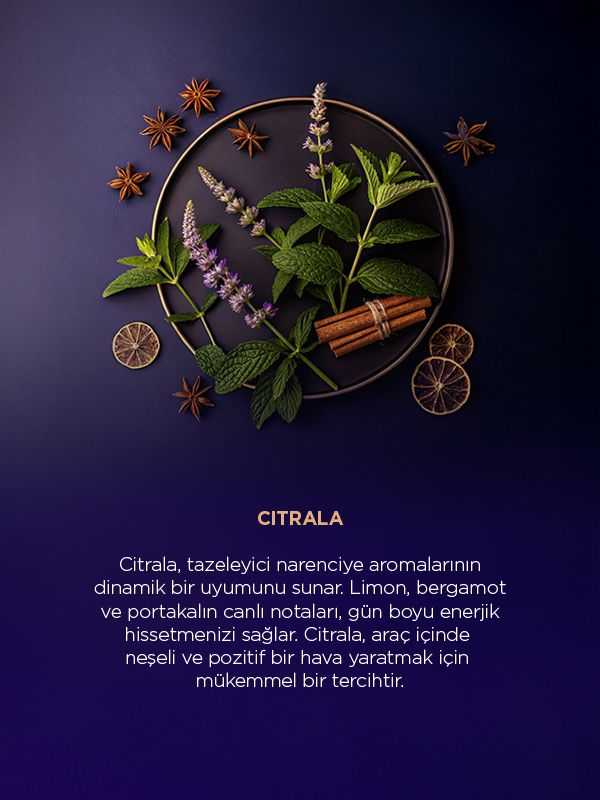 Zeder Ahşap Araç Kokusu Yenileme Tableti (Sadece Ahşap Tablet) - Citrala