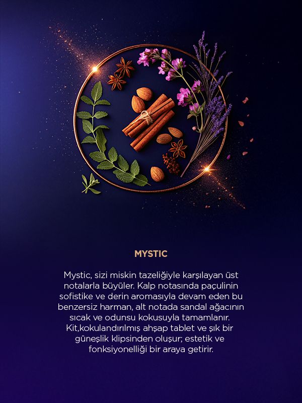 Yeni Nesil Ahşap Araç Kokusu Başlangıç Kiti - Mystic